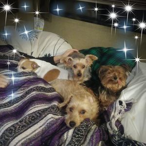 Meet your Posher, Malia